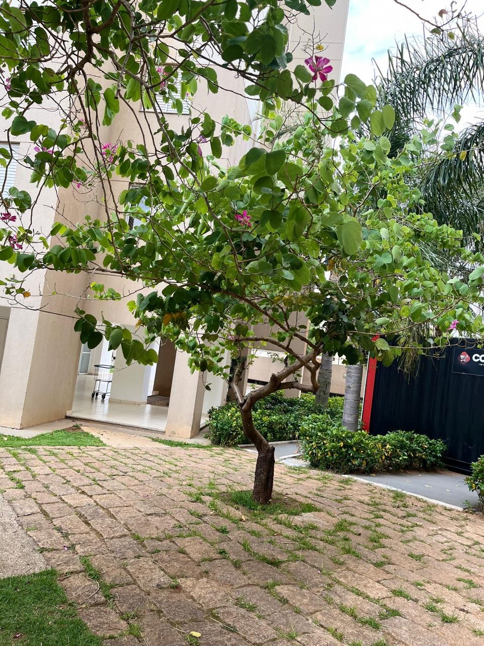 Apartamento, 3 quartos, 66 m² - Foto 29