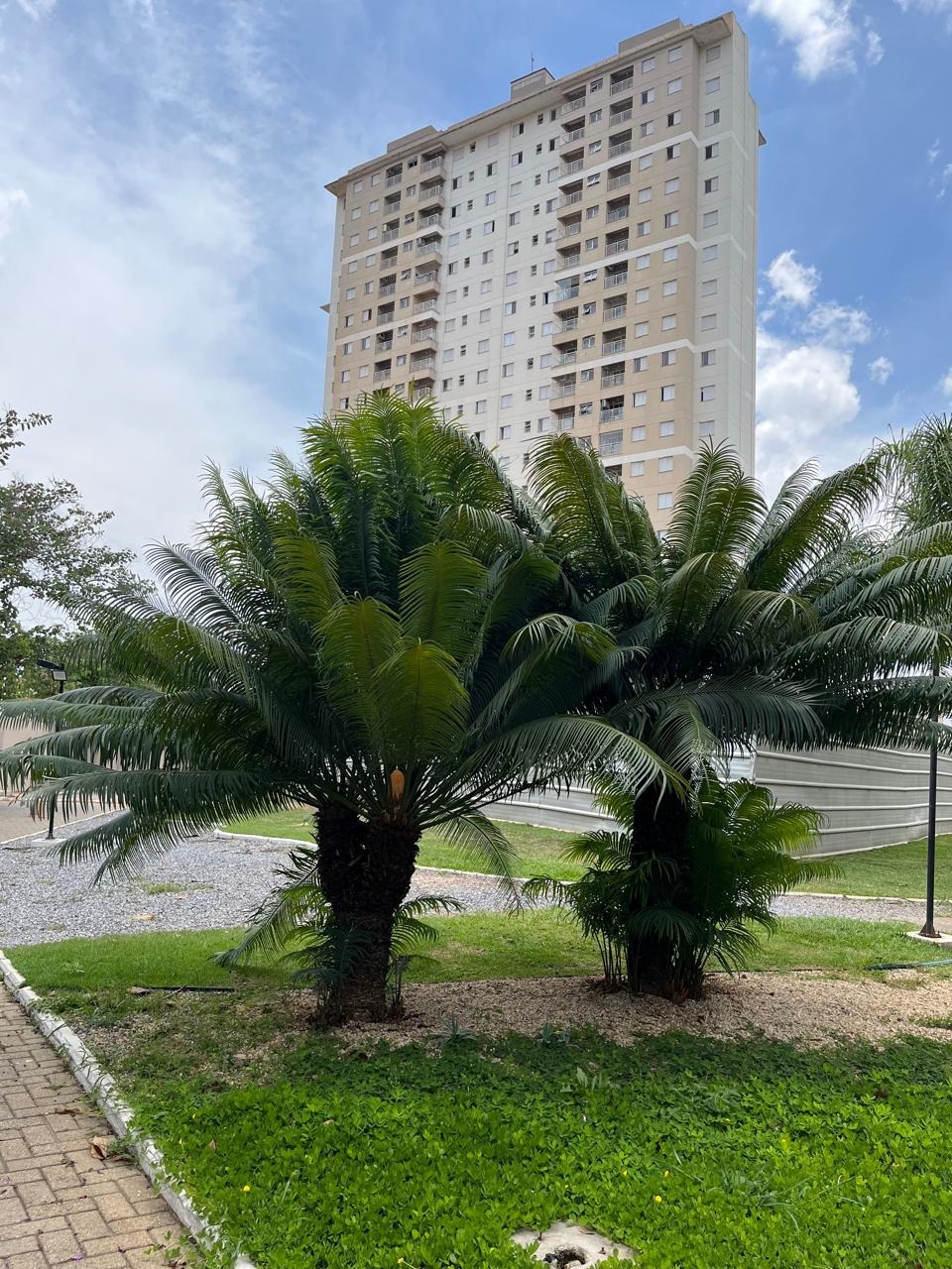 Apartamento, 3 quartos, 66 m² - Foto 1