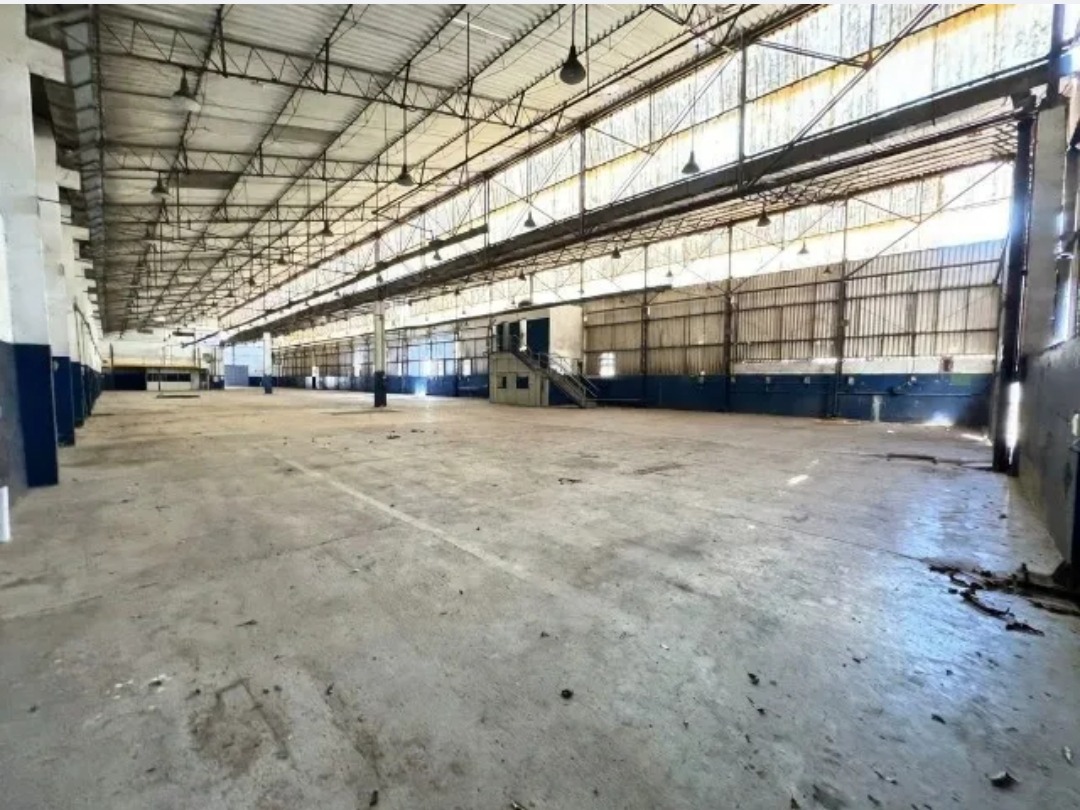 Depósito-Galpão - Foto 1