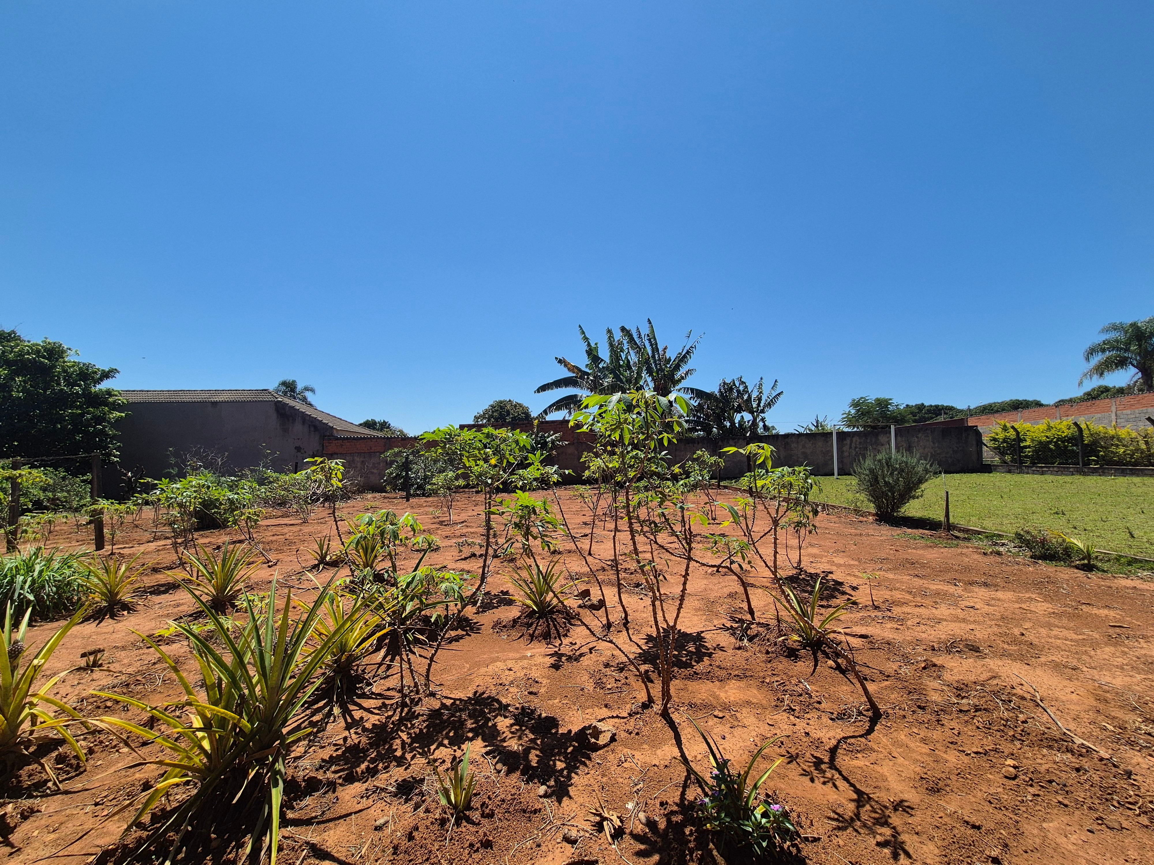 Chácara, 3 quartos, 2000 m² - Foto 10