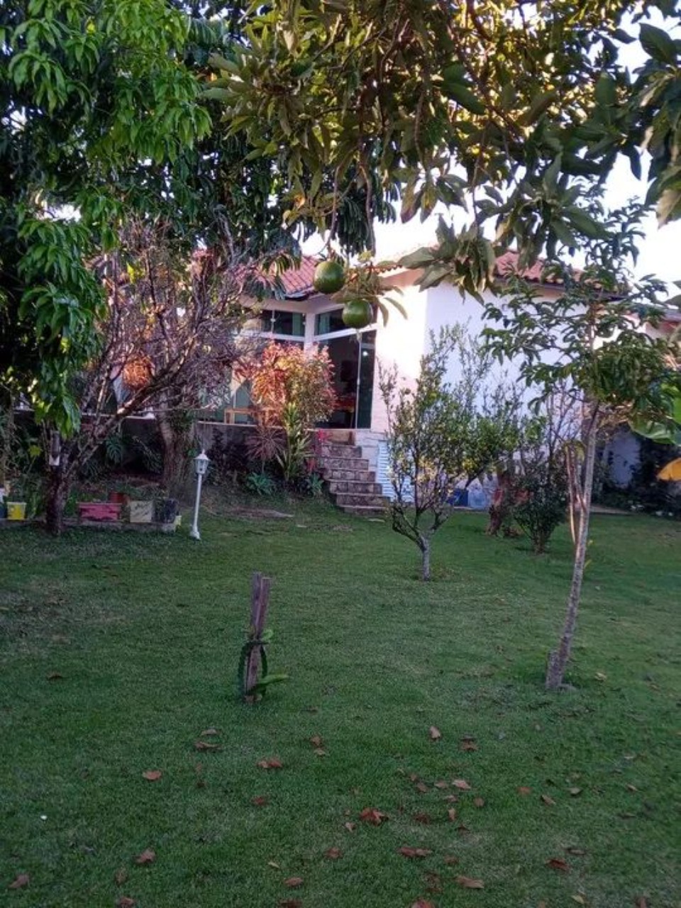Chácara, 3 quartos - Foto 4