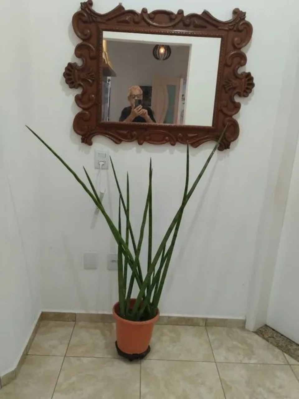 Chácara, 3 quartos - Foto 11