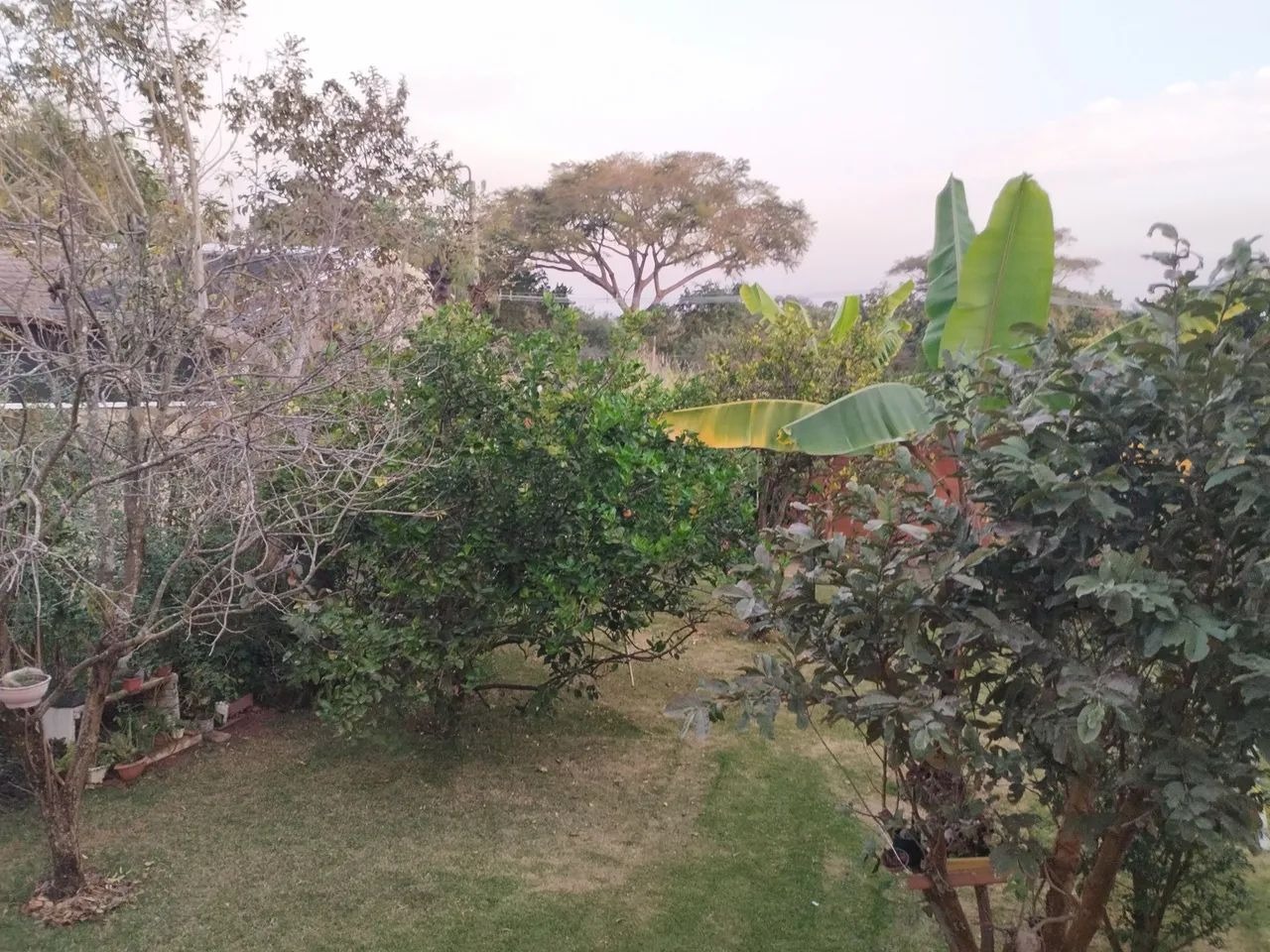 Chácara, 3 quartos - Foto 16