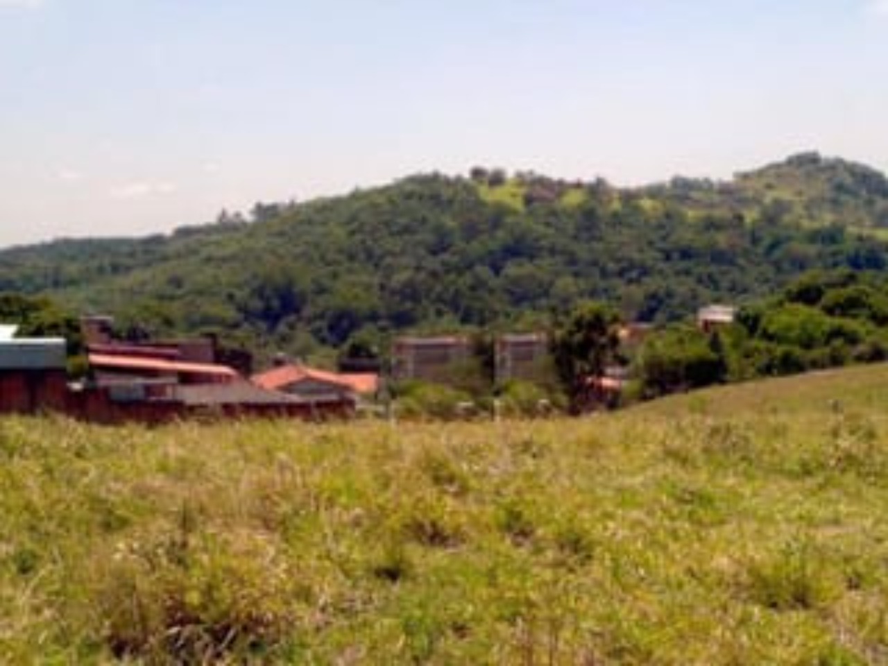 Terreno, 3 hectares - Foto 3