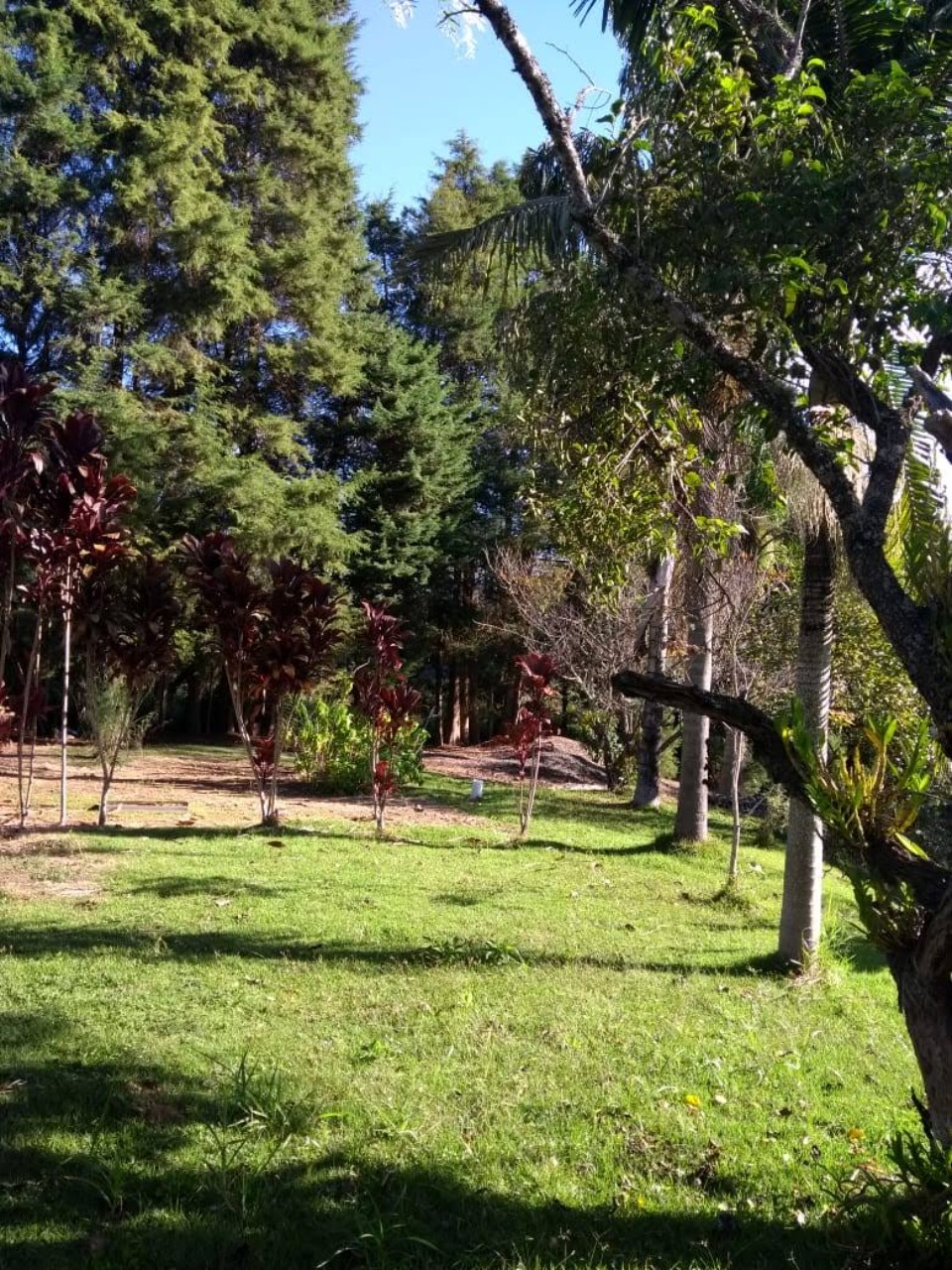 Chácara, 2 quartos - Foto 3