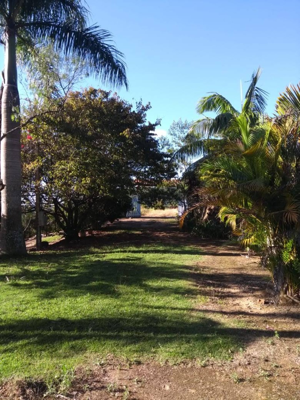 Chácara, 2 quartos - Foto 4