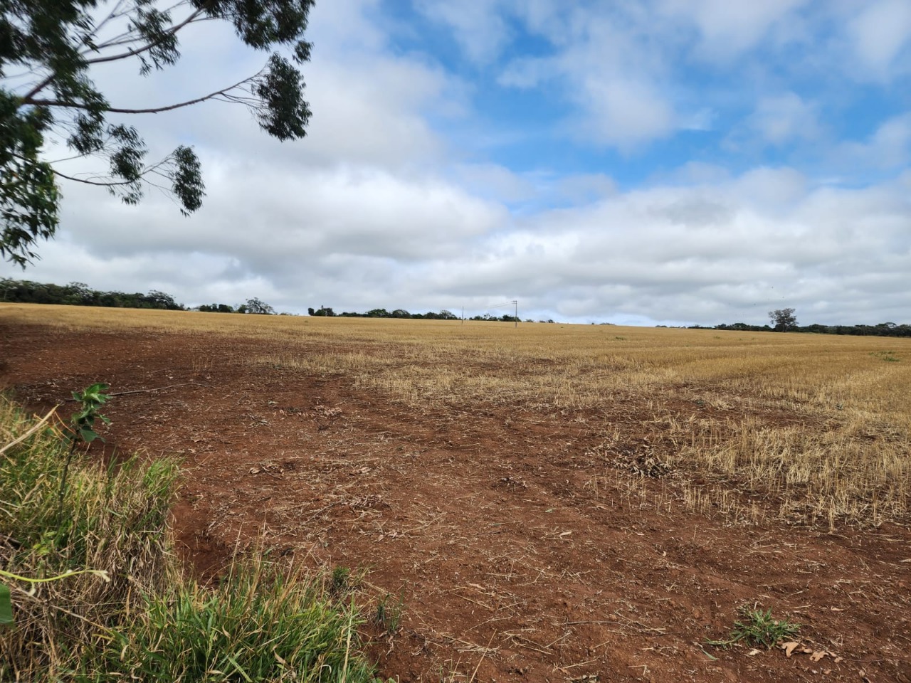 Terreno, 50 hectares - Foto 1