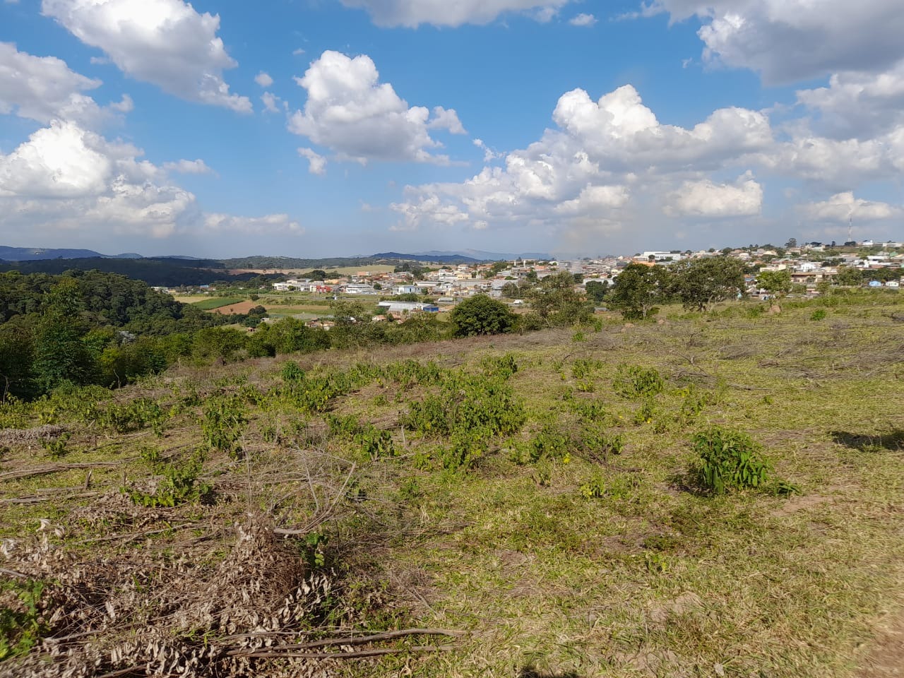 Terreno, 17 hectares - Foto 4