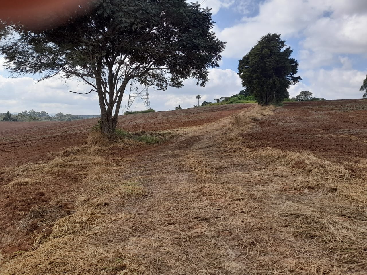 Terreno, 62 hectares - Foto 2