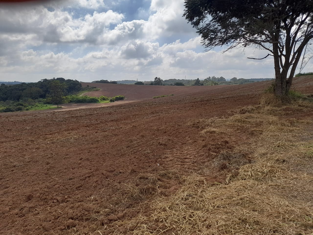 Terreno, 62 hectares - Foto 3
