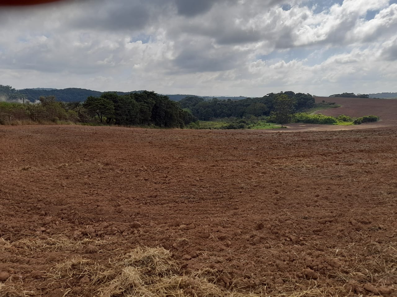 Terreno, 62 hectares - Foto 4