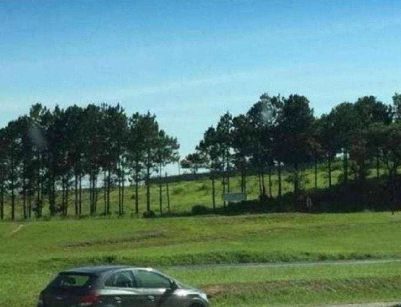 Terreno, 1 hectares - Foto 2