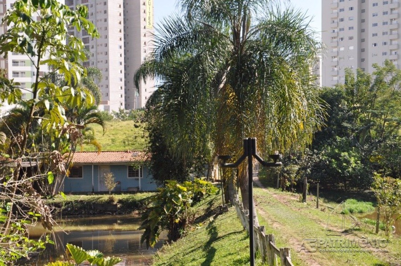 Terreno, 2 hectares - Foto 15