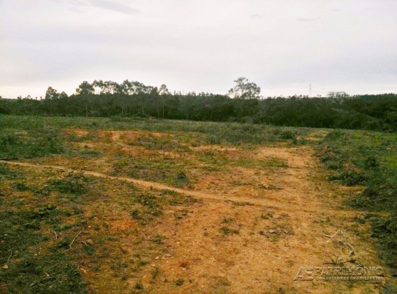 Terreno, 31 hectares - Foto 1