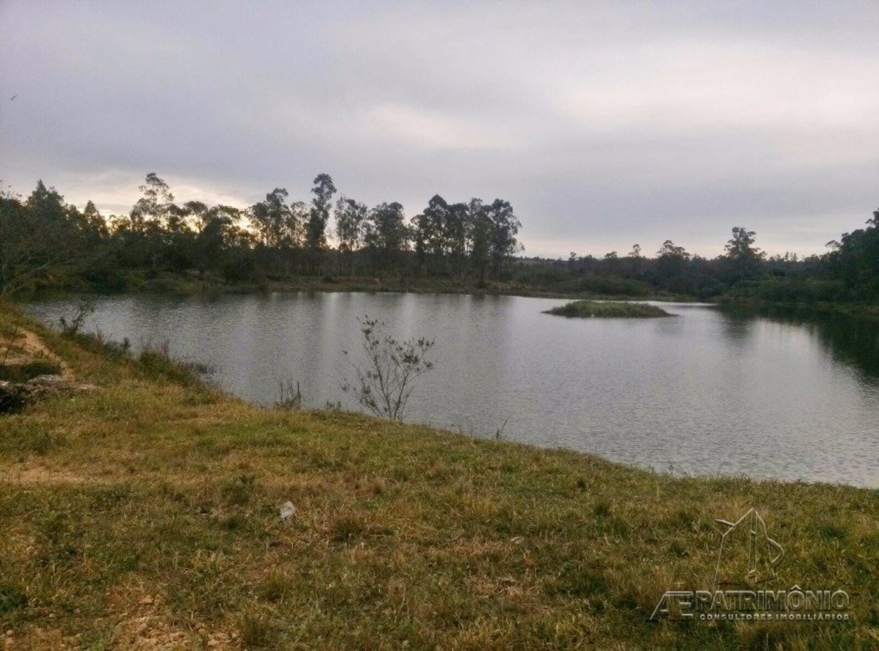 Terreno, 31 hectares - Foto 4