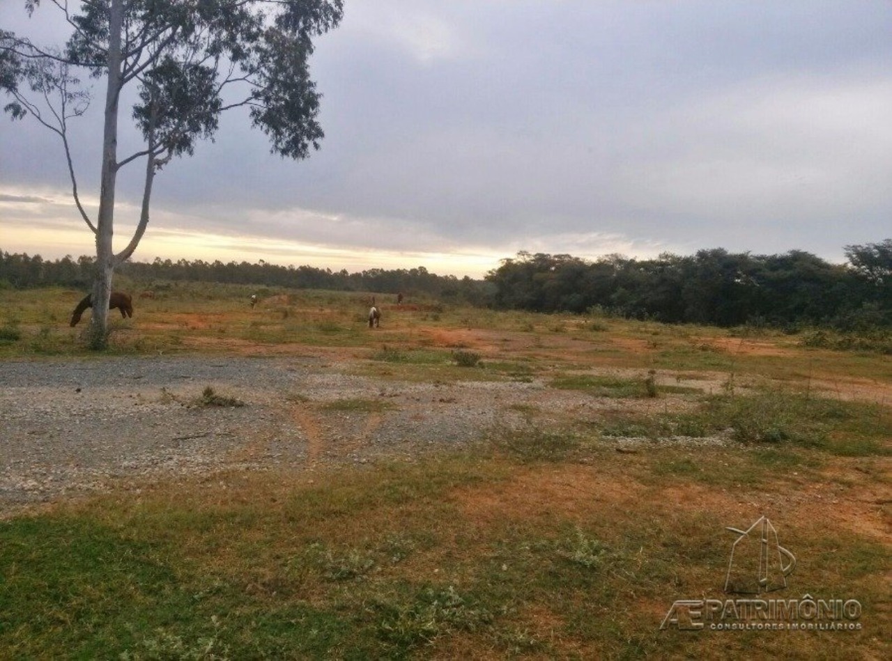 Terreno, 31 hectares - Foto 6