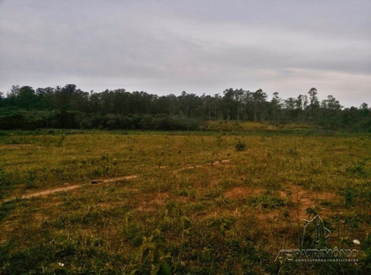 Terreno, 31 hectares - Foto 7