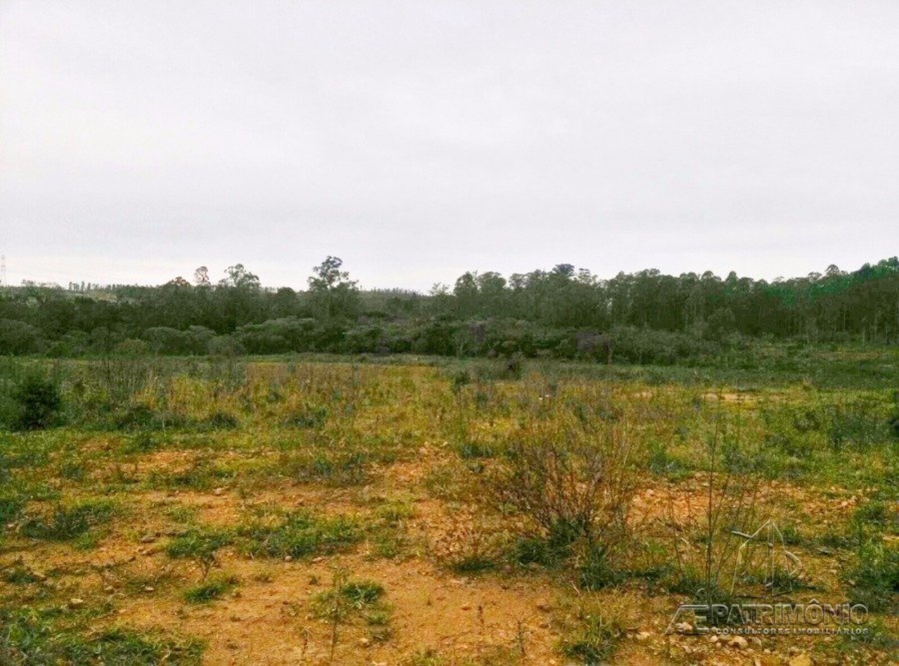 Terreno, 31 hectares - Foto 8