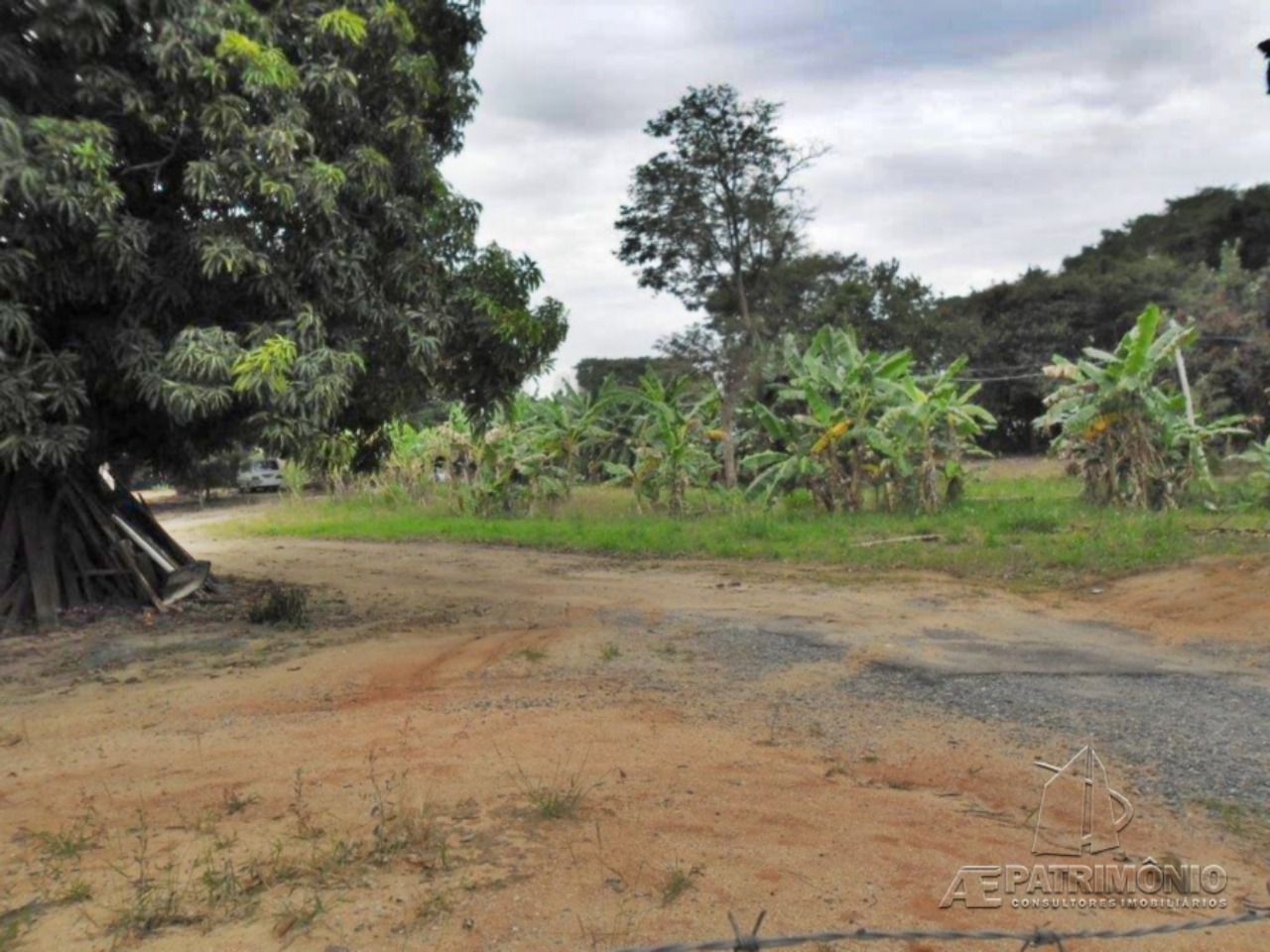 Terreno, 4 hectares - Foto 1