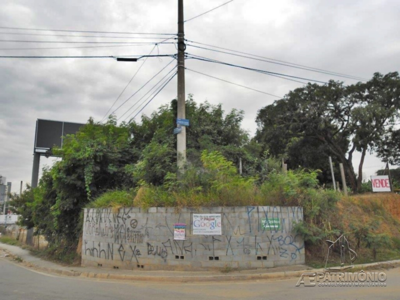 Terreno, 4 hectares - Foto 3