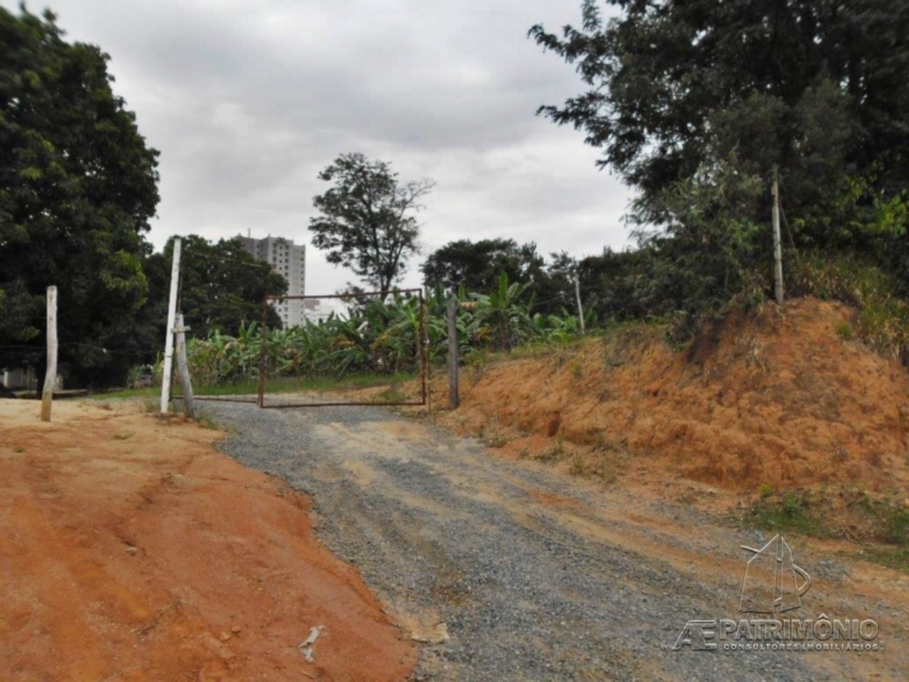 Terreno, 4 hectares - Foto 4