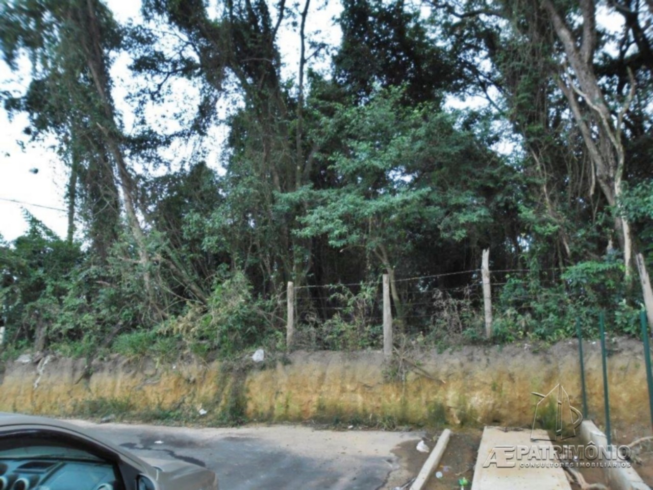 Terreno, 4 hectares - Foto 6