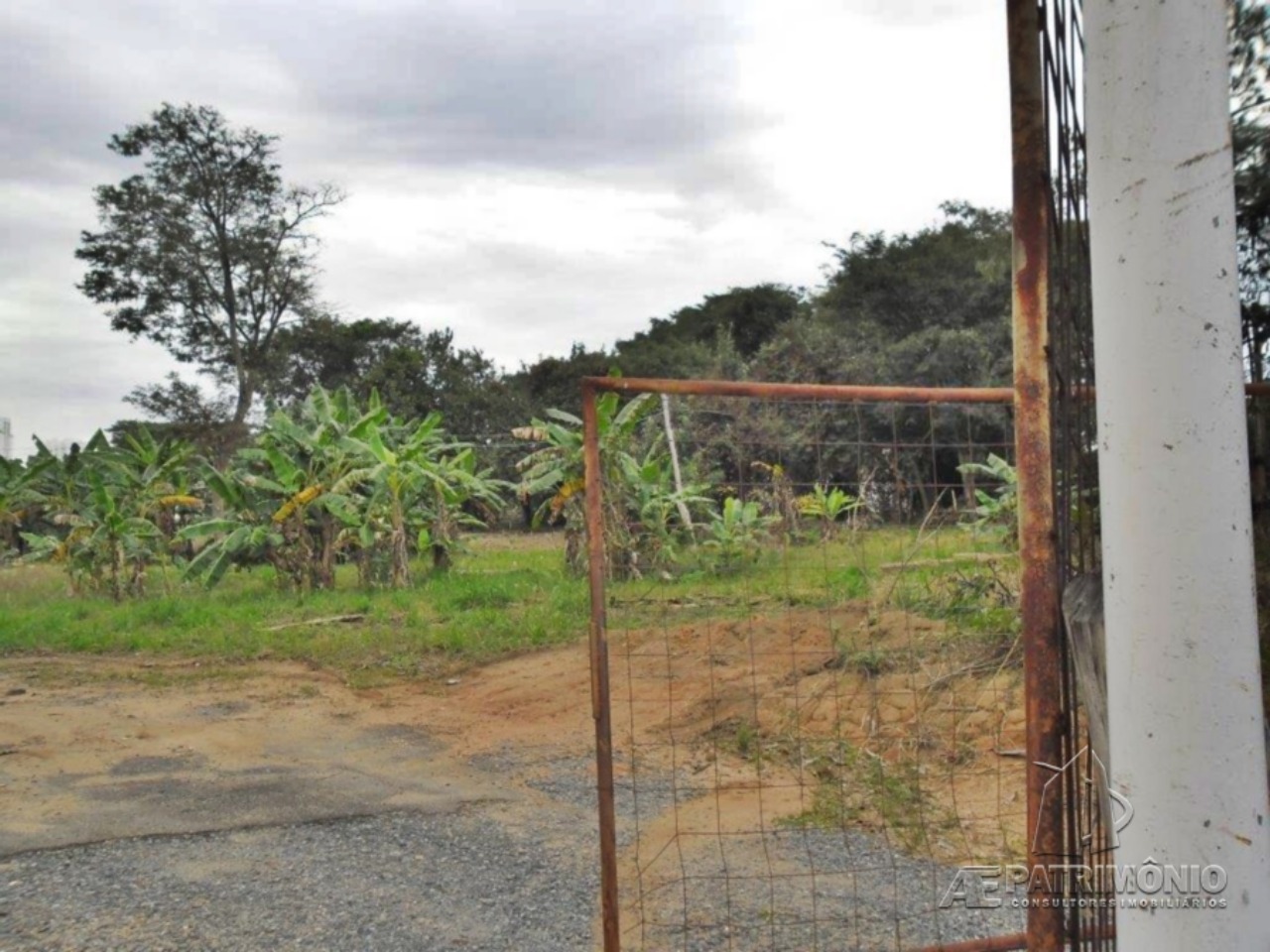 Terreno, 4 hectares - Foto 9