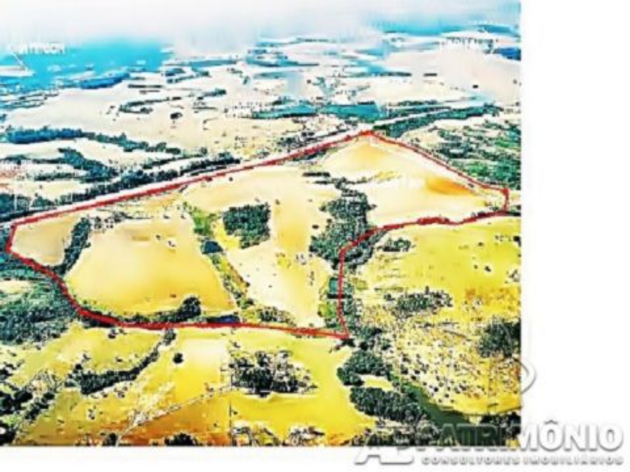 Terreno, 149 hectares - Foto 3