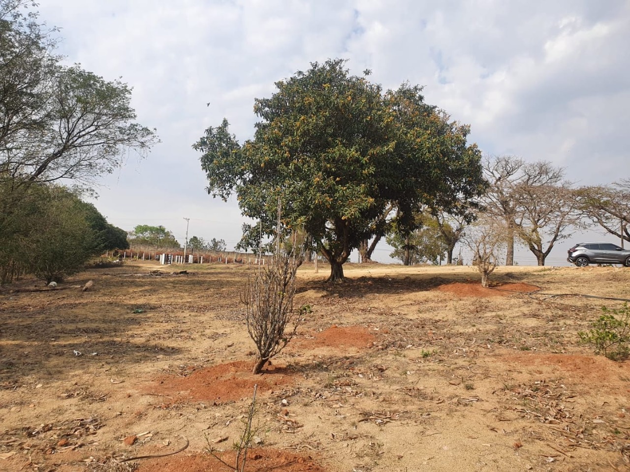 Terreno, 12 hectares - Foto 1