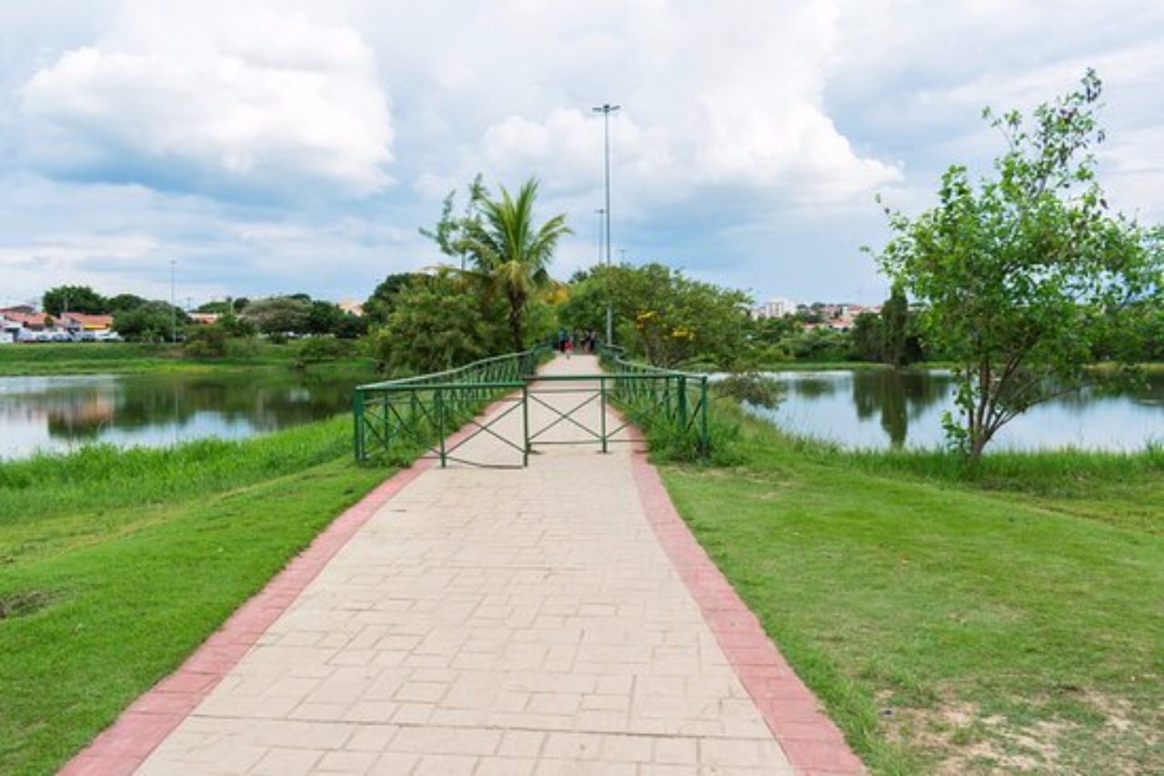 Terreno, 3300 m² - Foto 7