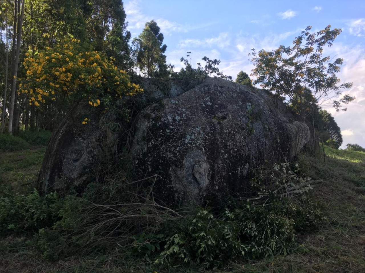 Sítio - Foto 44