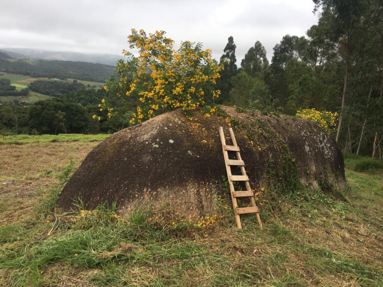 Sítio - Foto 48