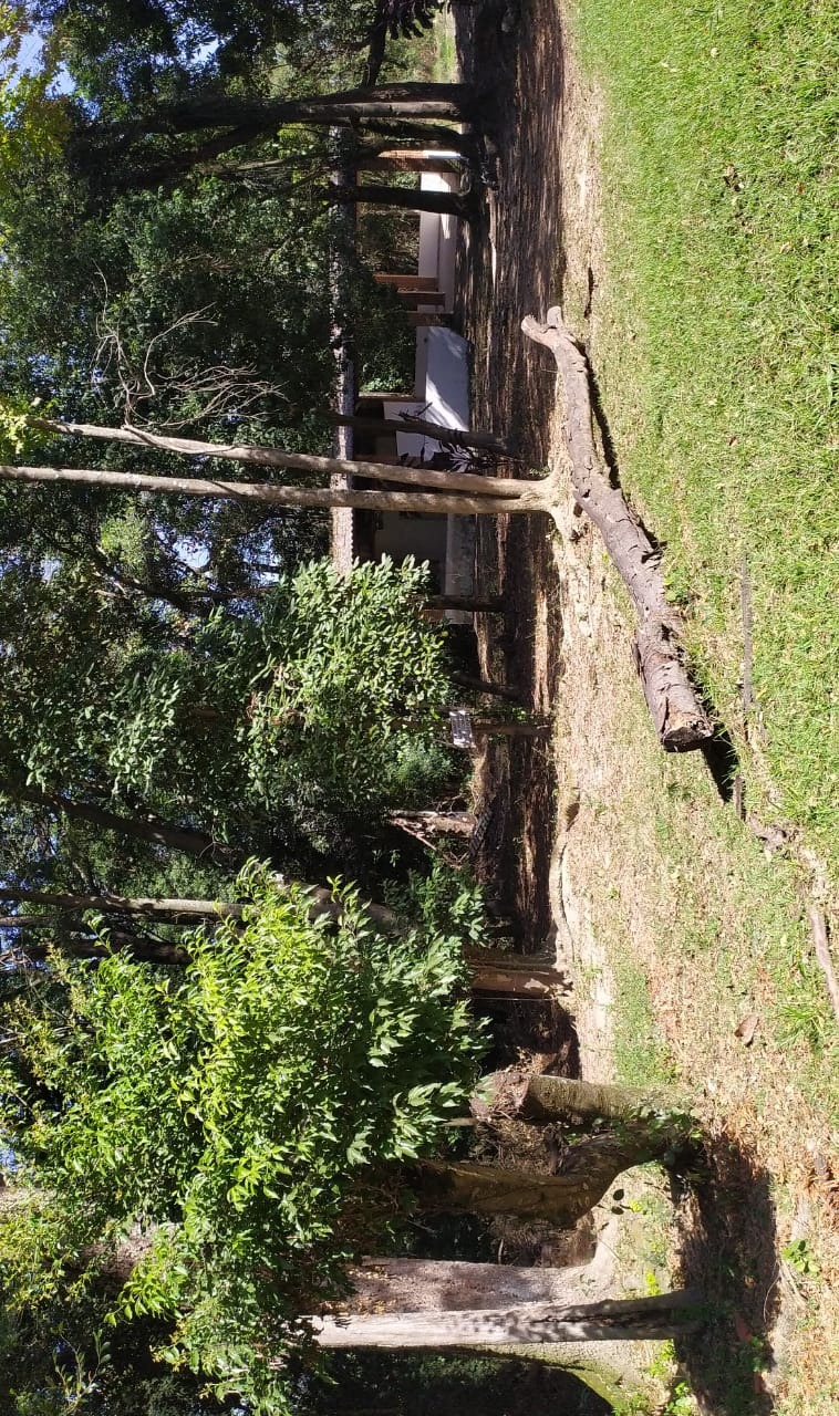 Terreno, 9 hectares - Foto 7