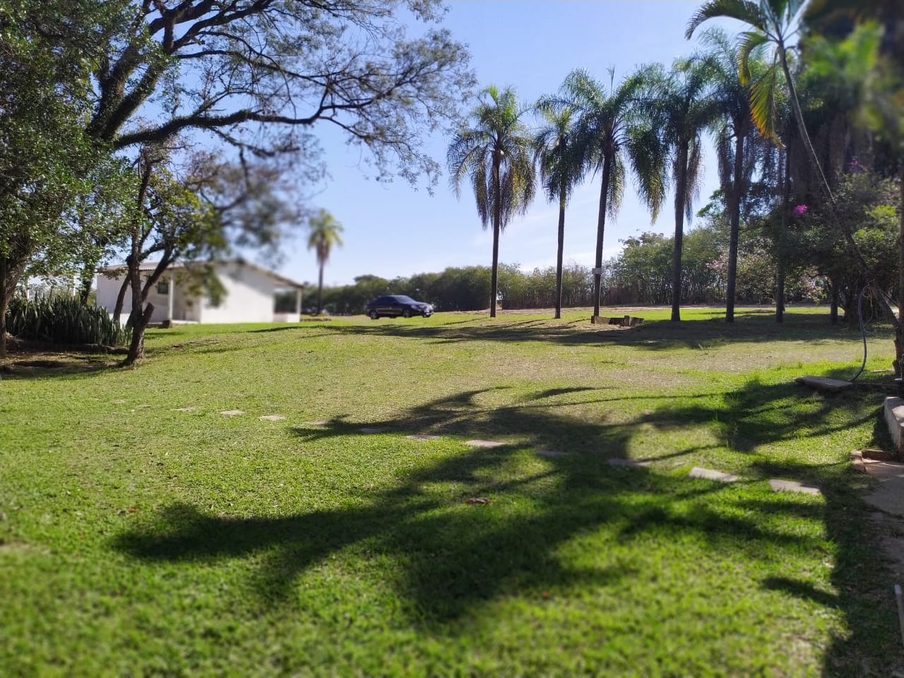 Terreno, 9 hectares - Foto 9