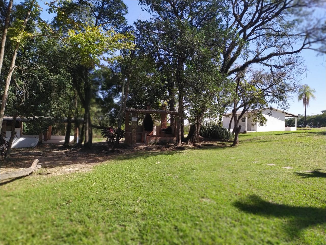 Terreno, 9 hectares - Foto 11