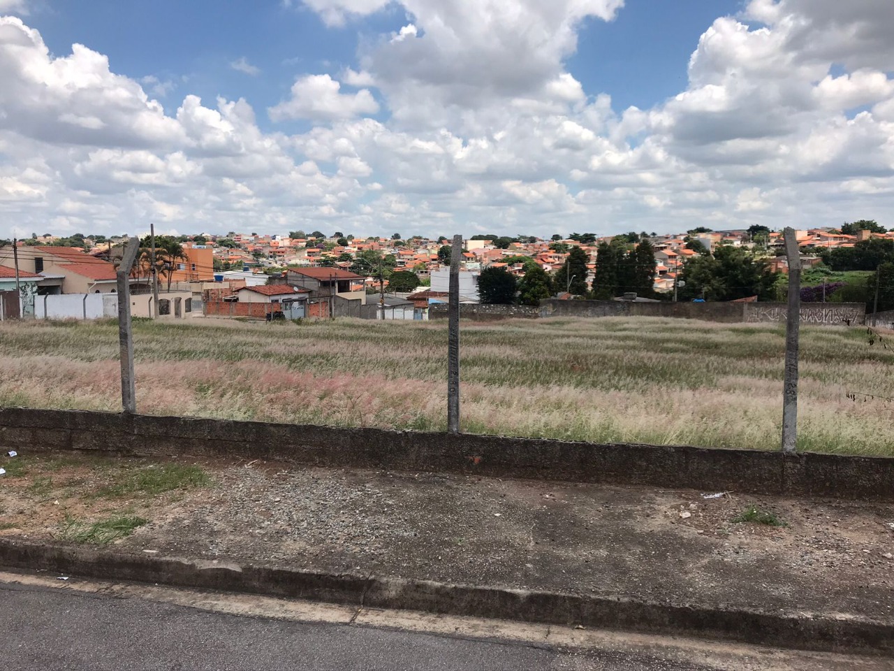 Terreno, 8000 m² - Foto 2