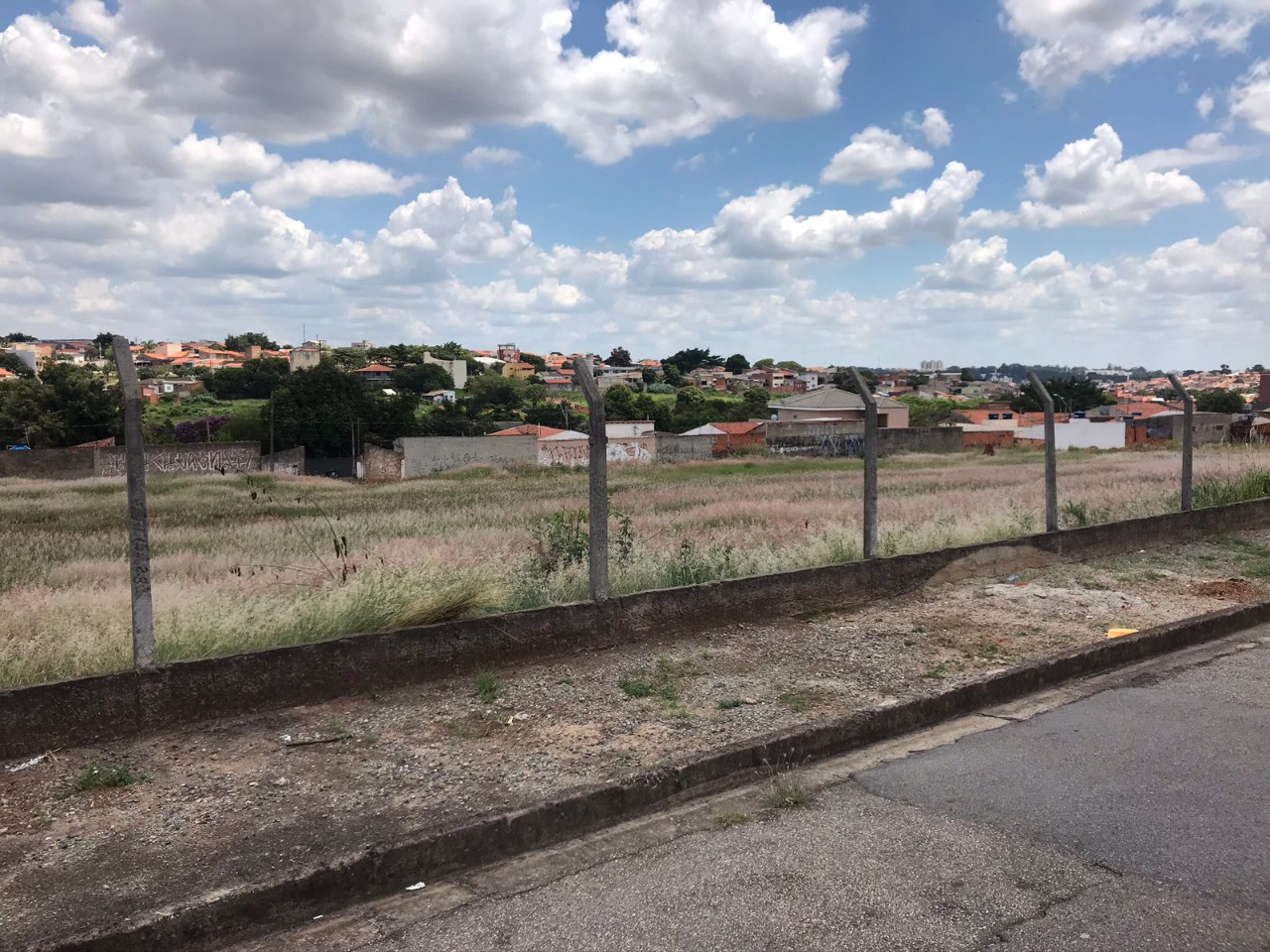 Terreno, 8000 m² - Foto 3