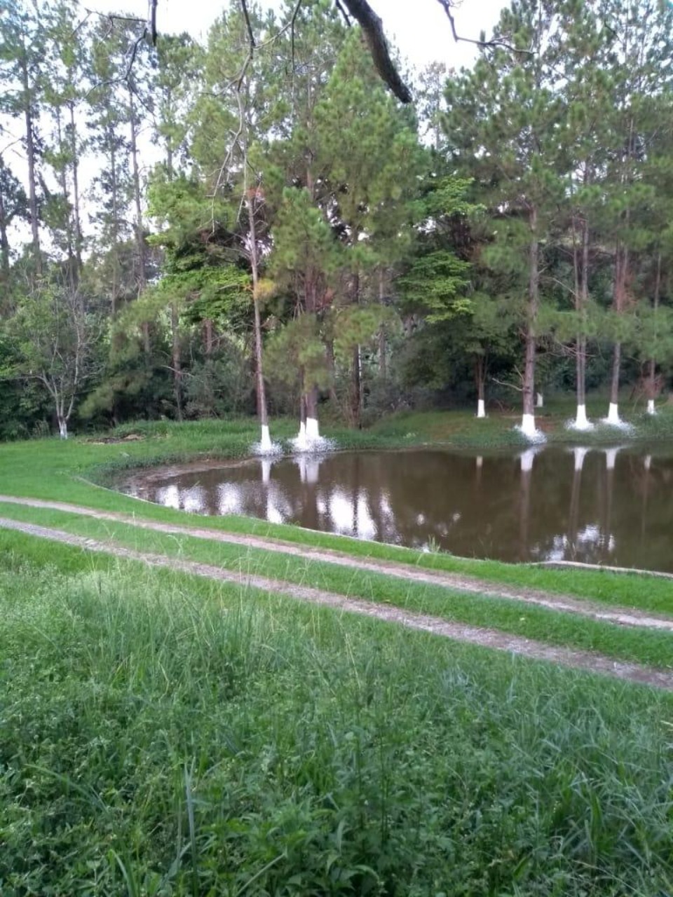 Chácara, 3 quartos - Foto 6