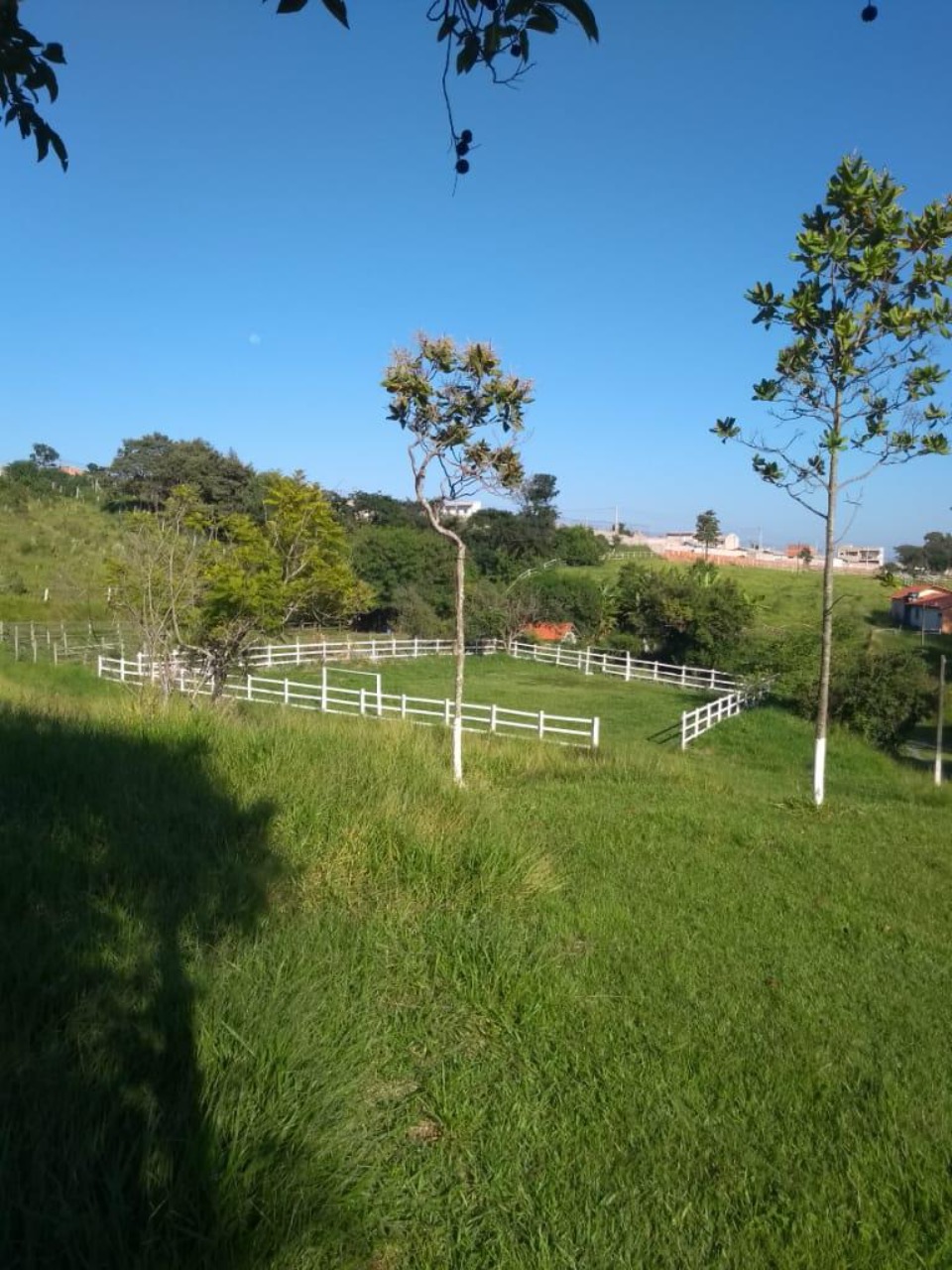 Chácara, 3 quartos - Foto 9