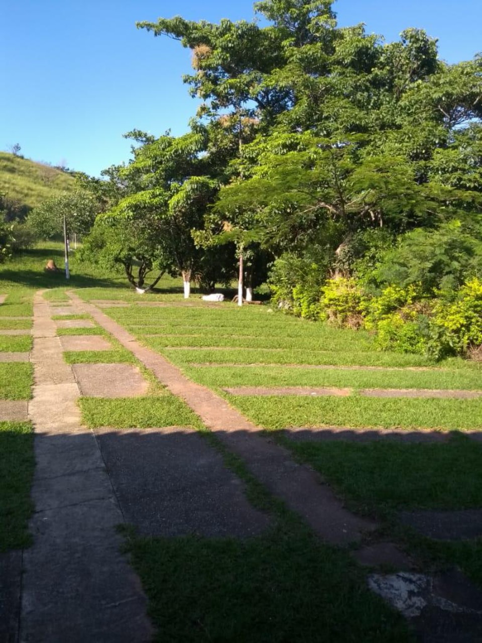 Chácara, 3 quartos - Foto 15