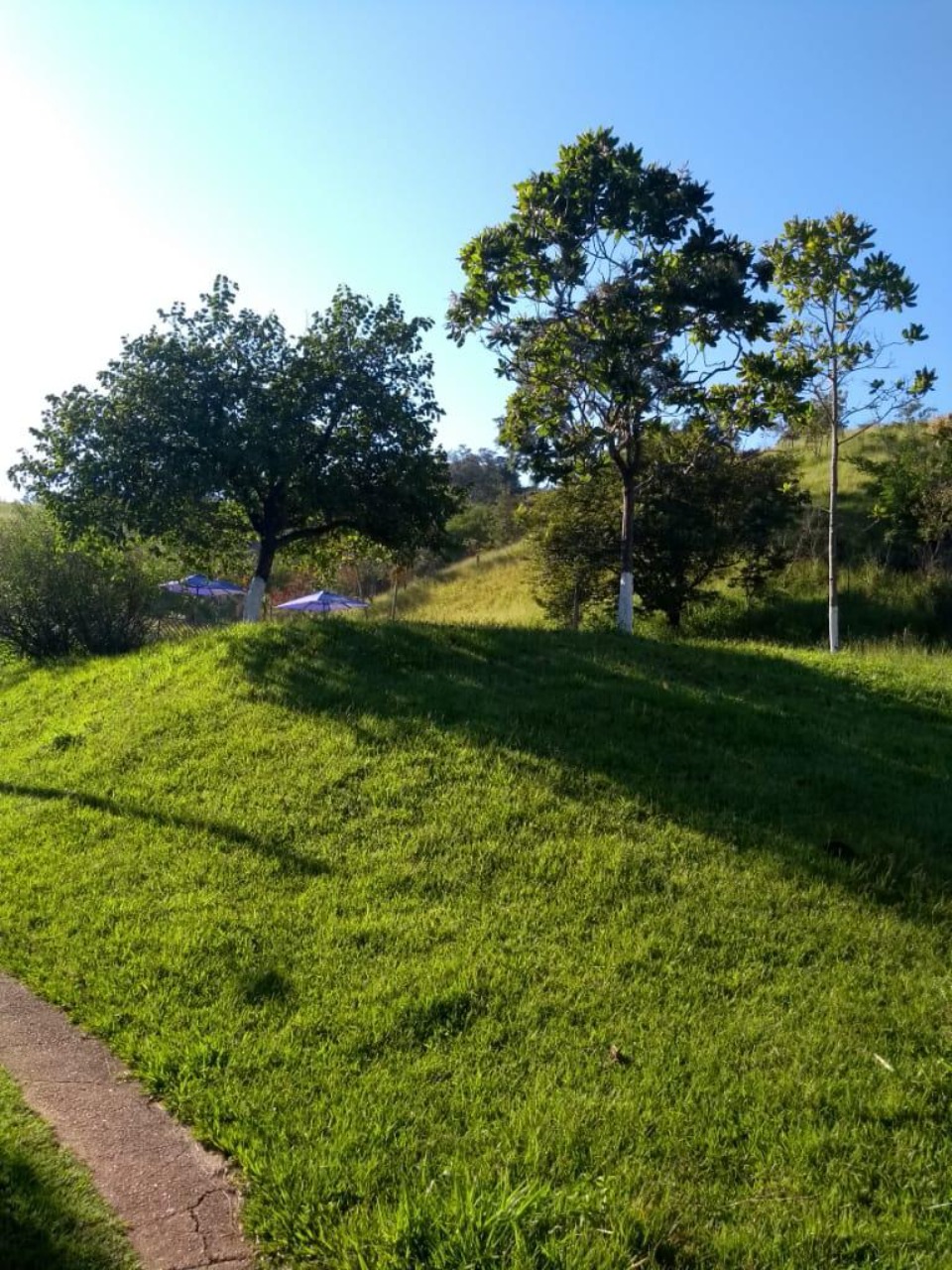 Chácara, 3 quartos - Foto 17