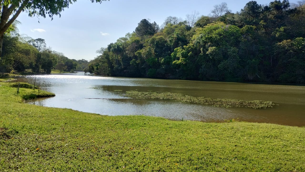 Chácara, 4 quartos - Foto 47