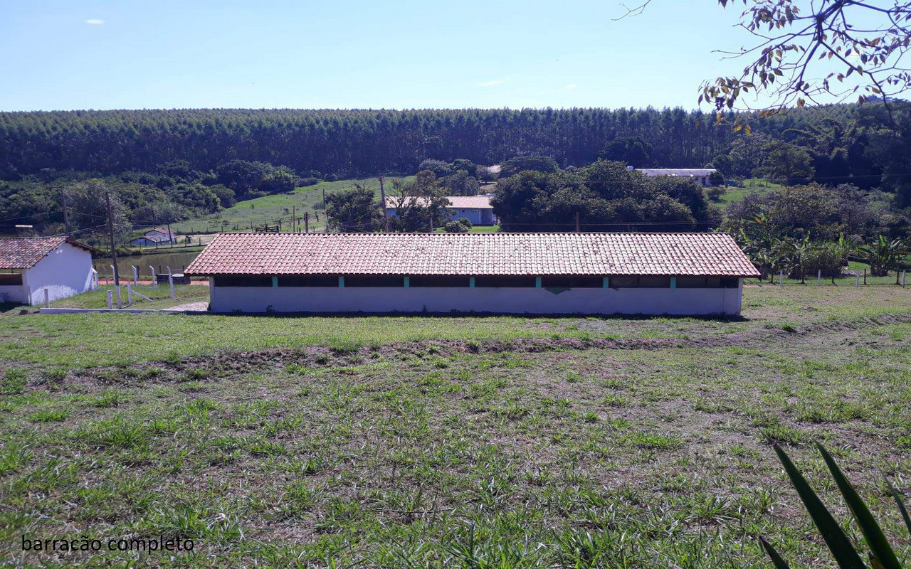 Sítio, 7 quartos - Foto 17