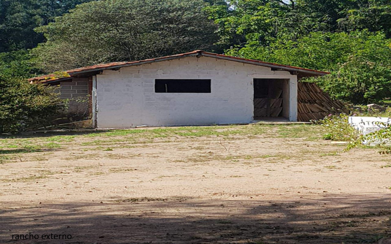 Sítio, 7 quartos - Foto 58