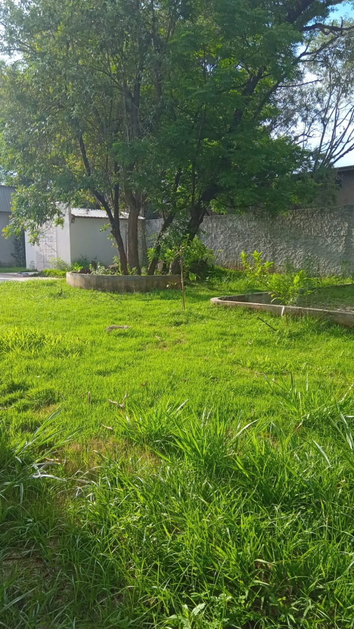 Depósito-Galpão - Foto 19