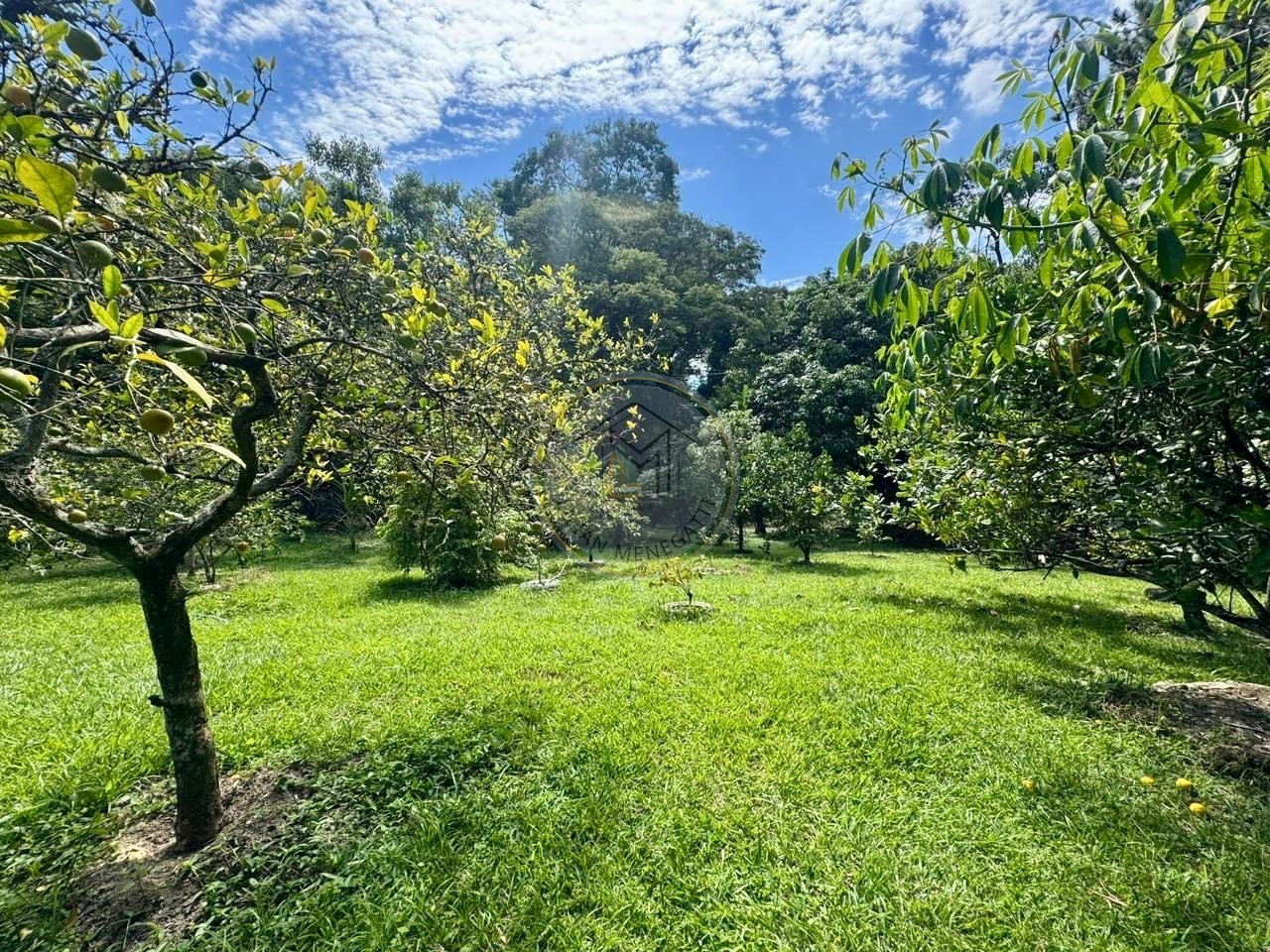 Chácara, 2 quartos, 6240 m² - Foto 5