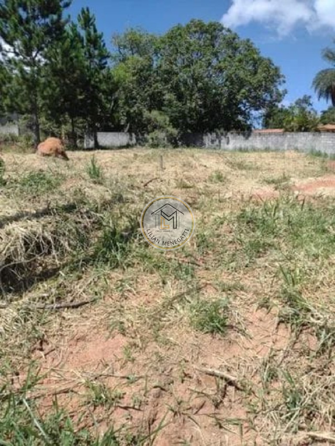 Terreno, 1000 m² - Foto 8