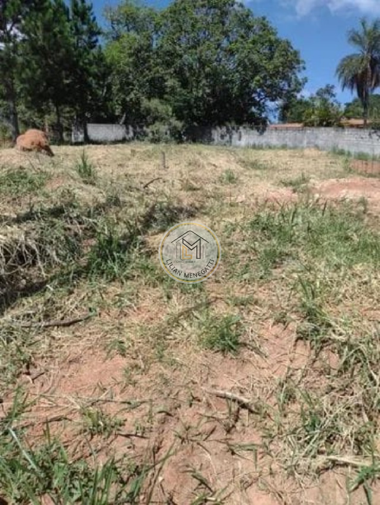 Terreno, 1000 m² - Foto 5