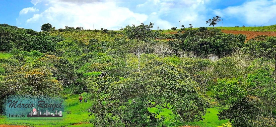 Sítio, 3 hectares - Foto 17