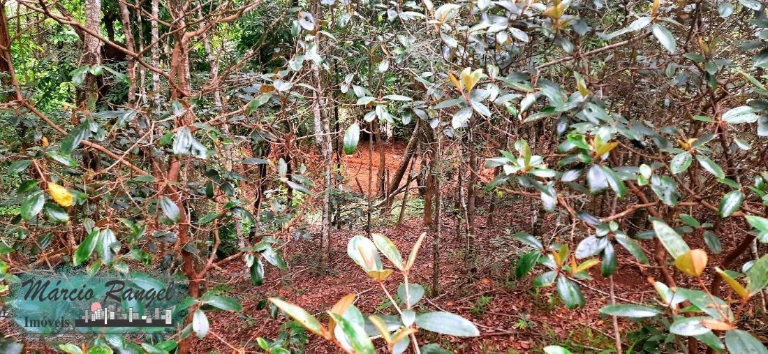 Sítio, 3 hectares - Foto 18